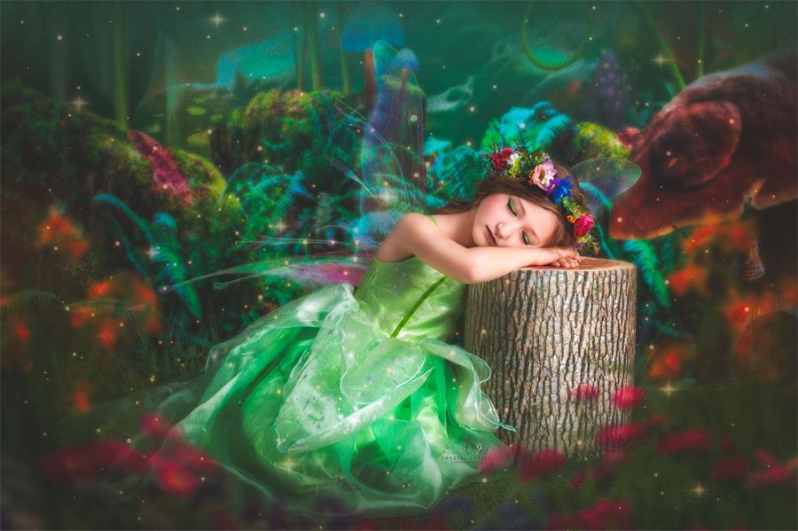 Kate Kinder Märchen bunte Wald Landschaft Geburtstag Hintergrund - Kate Backdrop.de