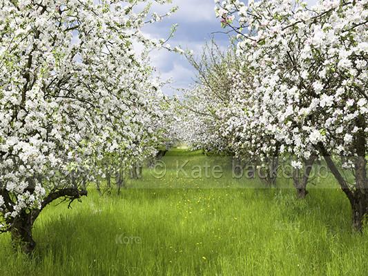 Katebackdrop Kate White Floral Tree Sea Background Green Grassland