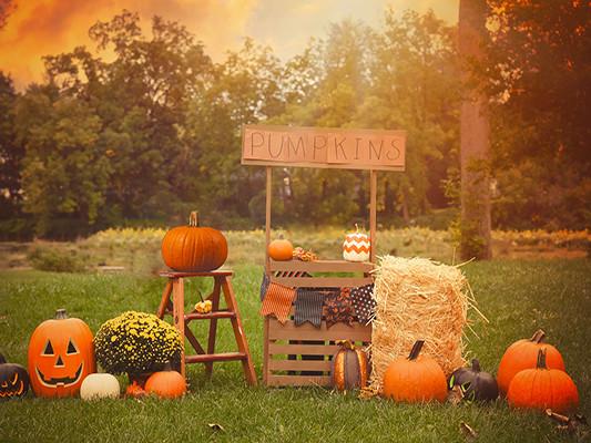 Katebackdrop:Kate Halloween Photography Backdrop For Party Pumpkins Grassland