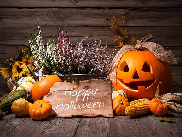 Katebackdrop:Kate Wooden Wall Photography Backdrops Halloween Pumpkin Flowerpot Backdrop