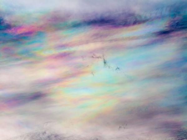 Katebackdrop:Kate Color Abstract Texture Backdrop