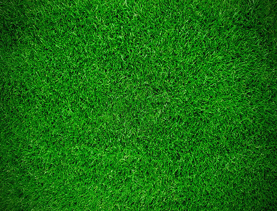 Kate grünes Gras Fotografie Hintergrund Kinder - Kate Backdrop.de