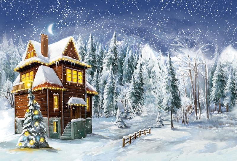 Kate Christmas Winter Schneeflocke Holzhaus Kulissen für Fotografie - Kate Backdrop.de