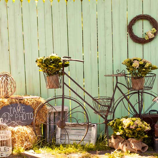 Kate-Ostern-Frühlingsgras mit Fahrrad-Hintergrund für Fotografie