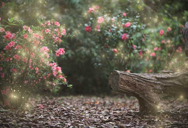 Kate Garden mit Lichterkette für die Logbank im Frühjahr Frühling Hintergrund für die Fotografie Entworfen von Pine Park Collection - Kate Backdrop.de