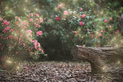 Kate Garden mit Lichterkette für die Logbank im Frühjahr Frühling Hintergrund für die Fotografie Entworfen von Pine Park Collection - Kate Backdrop.de