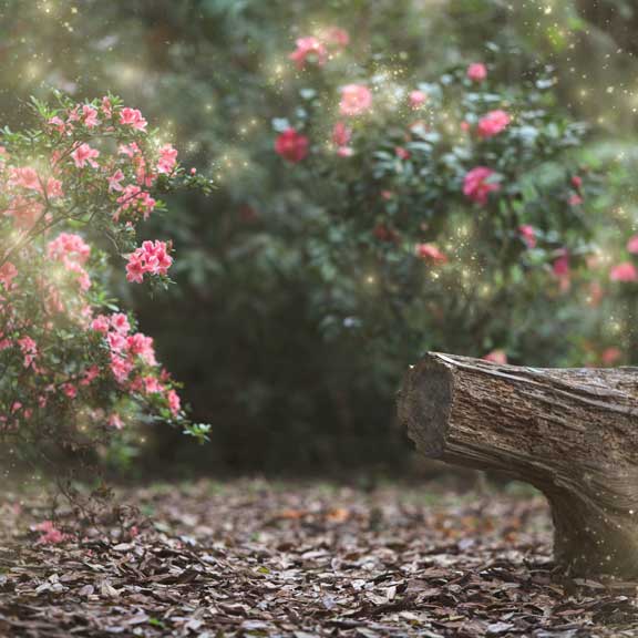 Kate Garden mit Lichterkette für die Logbank im Frühjahr Frühling Hintergrund für die Fotografie Entworfen von Pine Park Collection - Kate Backdrop.de