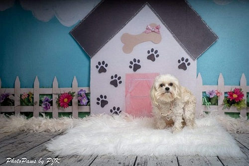 Kate Pet Park Flower Spring Kinderhintergrund für Fotografie entworfen von Erin Larkins - Kate Backdrop.de