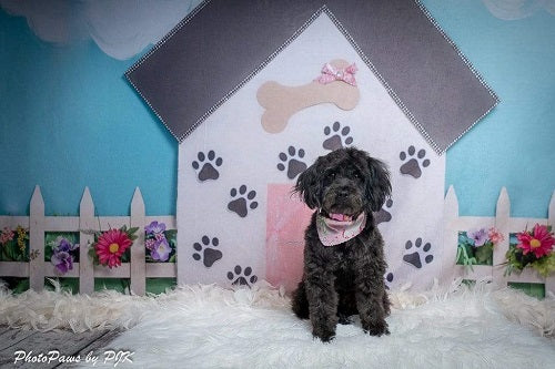 Kate Pet Park Flower Spring Kinderhintergrund für Fotografie entworfen von Erin Larkins - Kate Backdrop.de