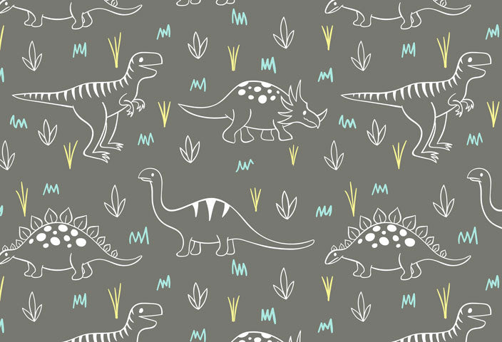 Kate Dinosaur Park Kinder Kulisse für Fotografie Entworfen von Amanda Moffatt - Kate Backdrop.de