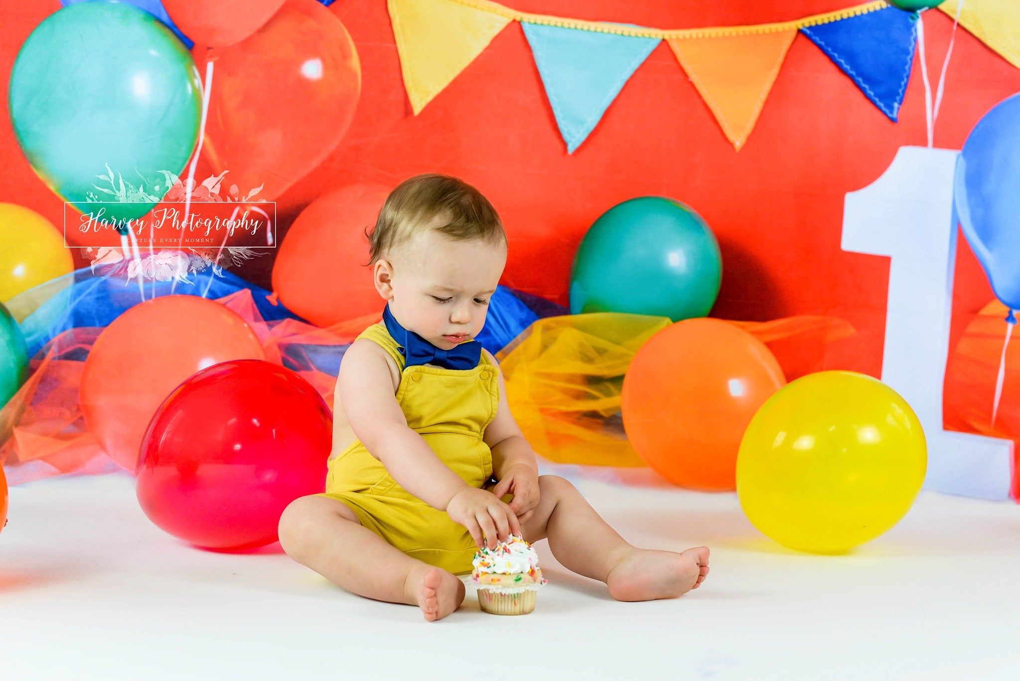 Kate 1st Geburtstag Hintergrund Junge für Fotografie von Keerstan Jessop - Kate Backdrop.de