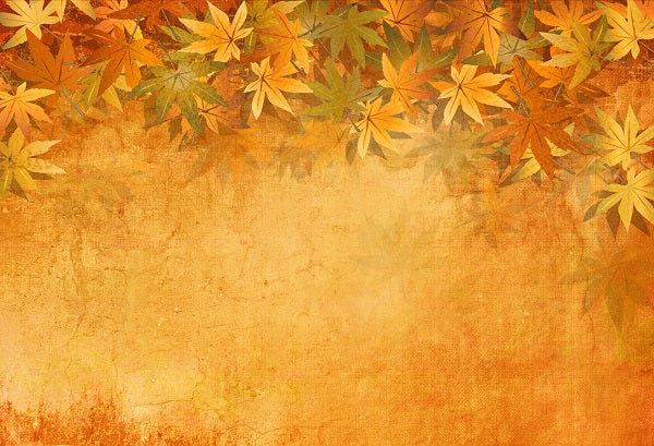 Herbst Retro Ahorn Blätter