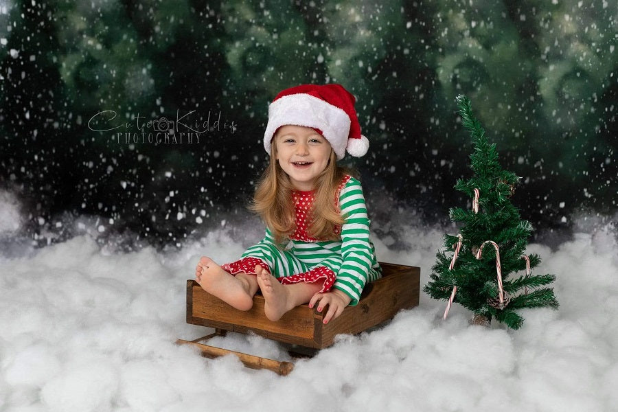 Kate Blendend Winter schneebedeckt Wald Hintergrund für Fotografie von Modest Brushes - Kate Backdrop.de