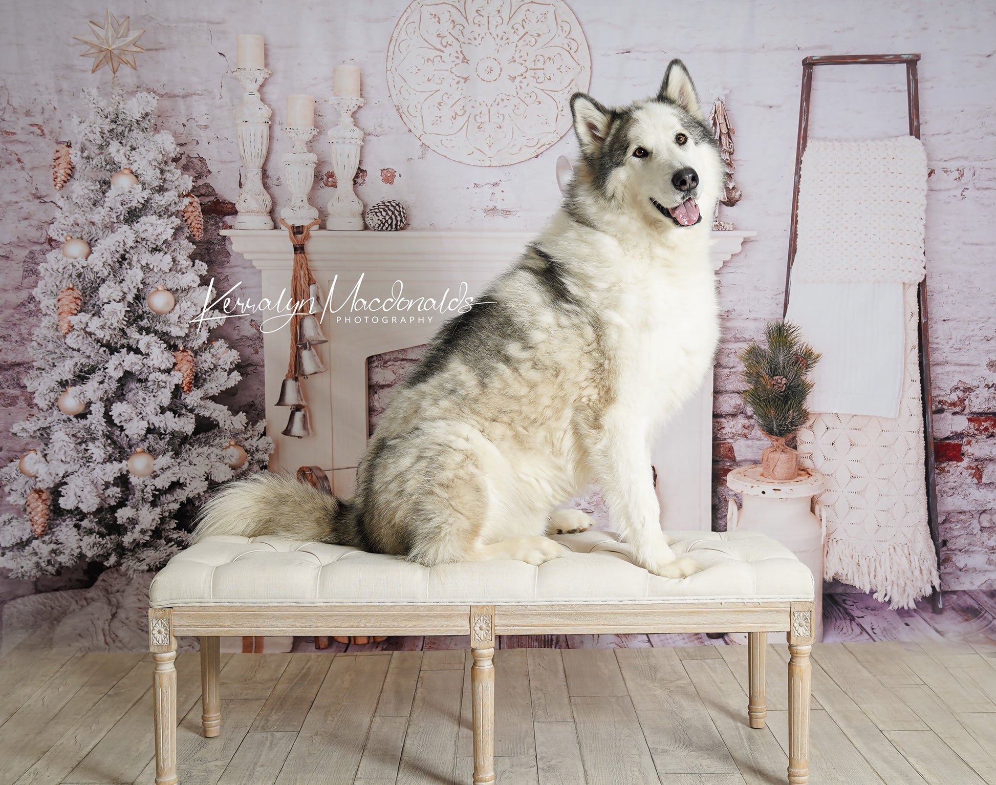 Kate Weihnachtsdekorationen Backsteinzimmer Hintergrund Weihnachten Entworfen von Pine Park Collection - Kate Backdrop.de