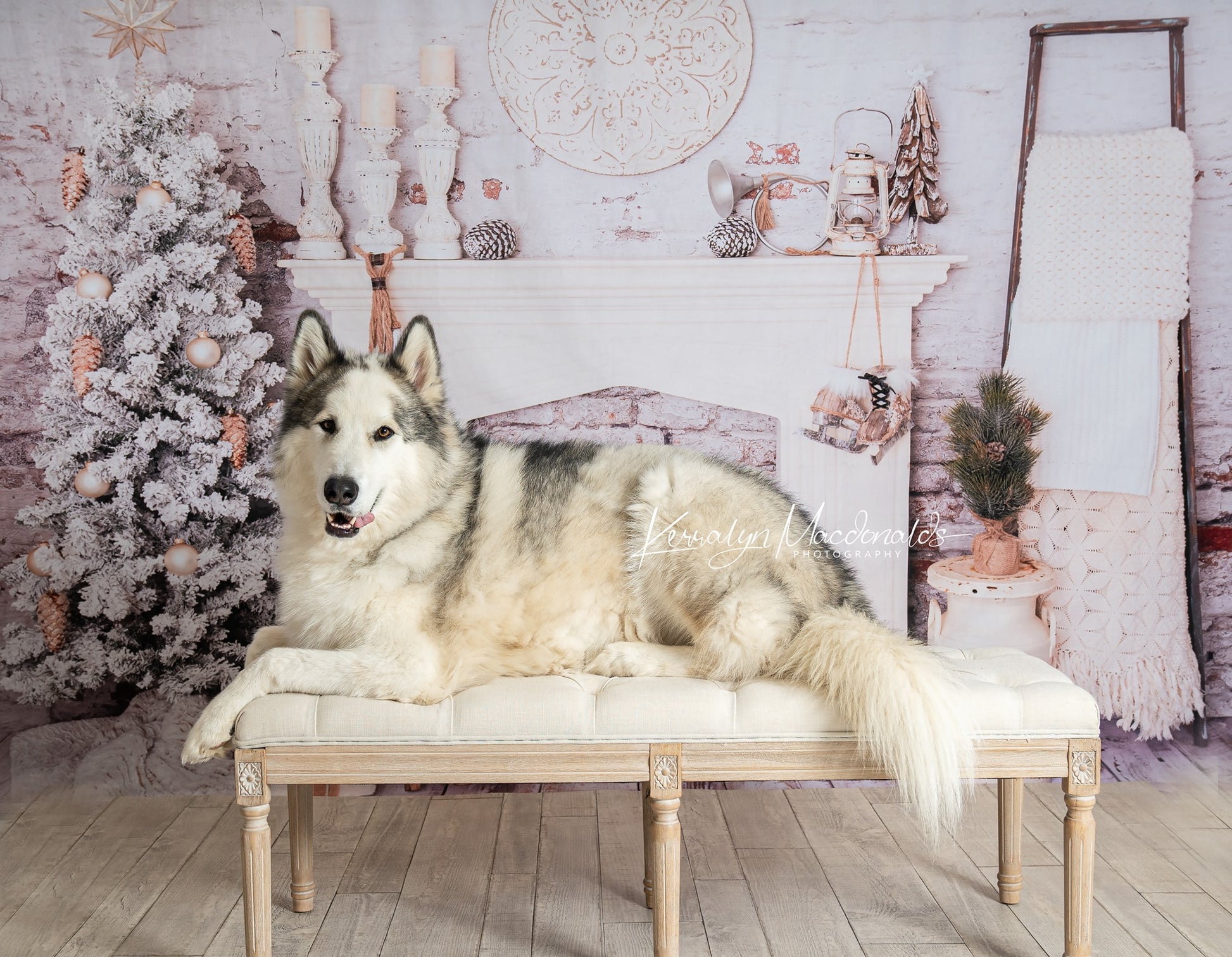 Kate Weihnachtsdekorationen Backsteinzimmer Hintergrund Weihnachten Entworfen von Pine Park Collection - Kate Backdrop.de