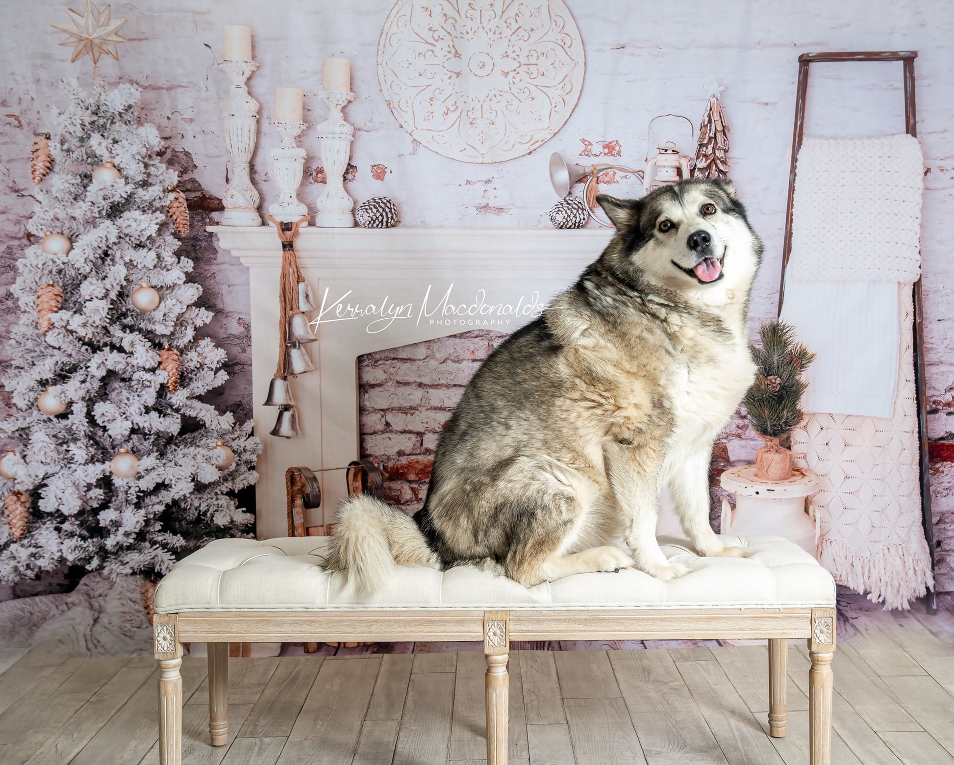 Kate Weihnachtsdekorationen Backsteinzimmer Hintergrund Weihnachten Entworfen von Pine Park Collection - Kate Backdrop.de