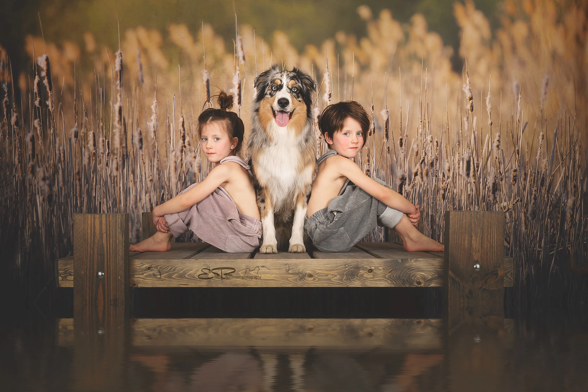 Kate Herbst Schilf Landschaft Hintergrund Entworfen von Pine Park Collection - Kate Backdrop.de