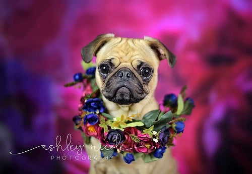 Kate rosa Blumen Frühling Muttertag Hintergrund Entworfen von Sarah Stickney Photography - Kate Backdrop.de