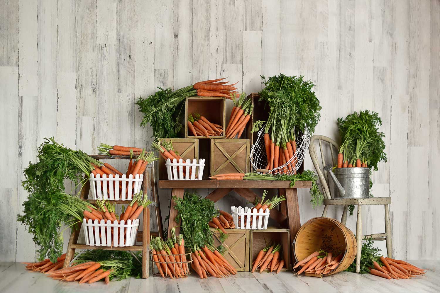 Kate Frühling Karotte grün Hintergrund Entworfen von Mandy Ringe Photography - Kate Backdrop.de