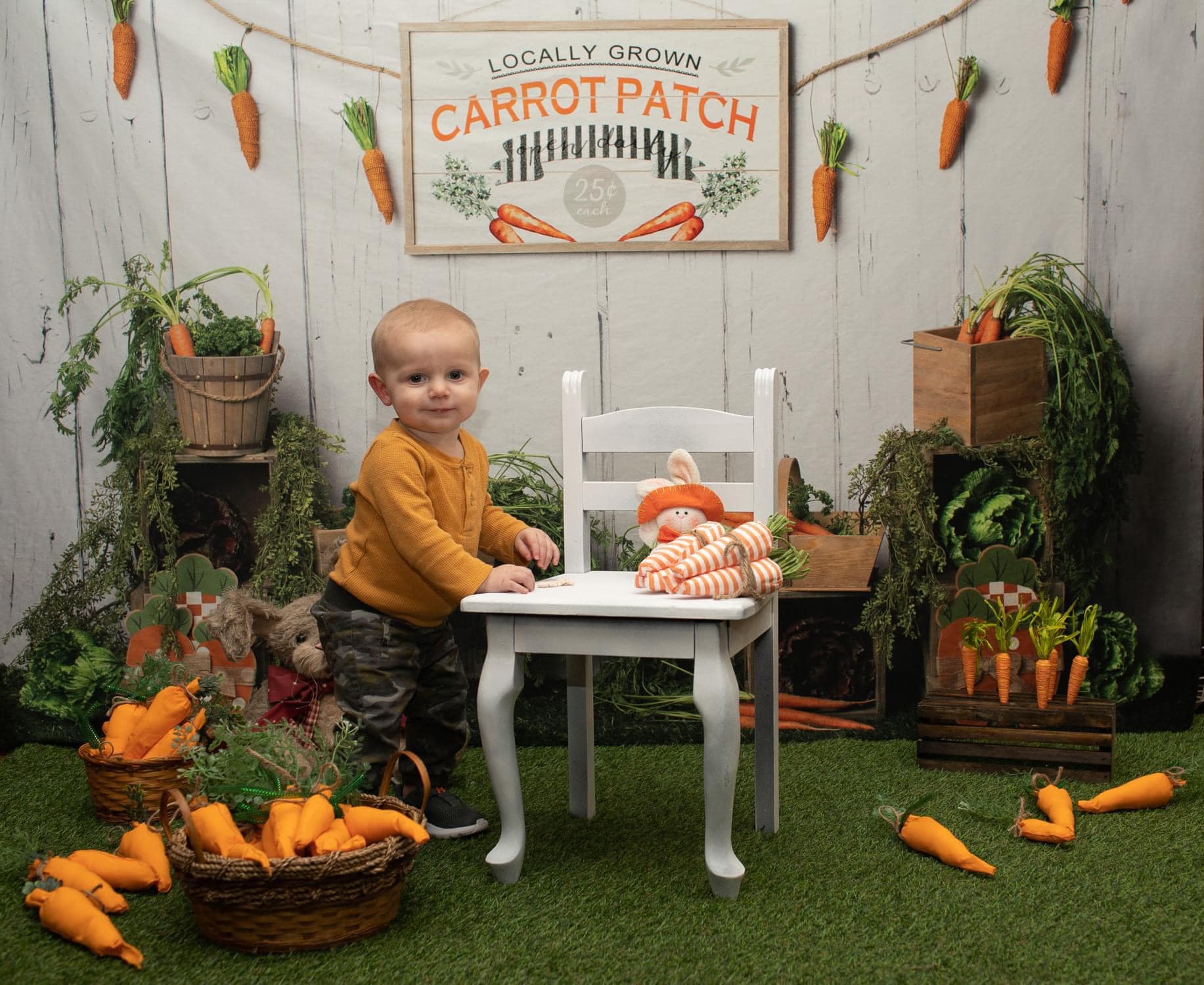 Kate Frühling Karotte Hintergrund Entworfen von Megan Leigh Photography - Kate Backdrop.de