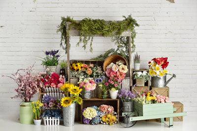 Kate Frühling Blumen Ständer Hintergrund entworfen von Mandy Photography - Kate Backdrop.de