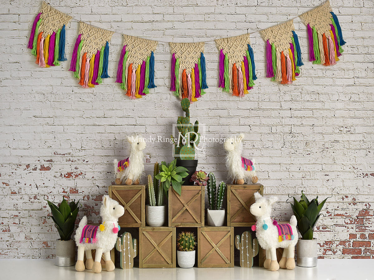 Kate Sommer Lamas mit Kaktus und Makramee Hintergrund Entworfen von Mandy Ringe Photography - Kate Backdrop.de