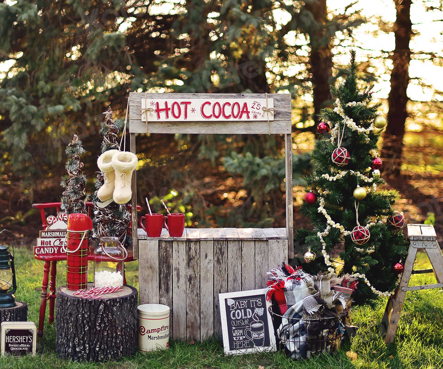 Kate Hot Cocoa Stand Weihnachten Baum Hintergrund von Mandy Ringe Photography - Kate Backdrop.de