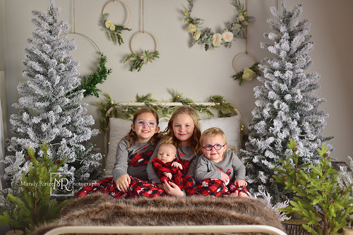 Kate Weihnachts- / Winterbett-Hintergrund Weihnachten Entworfen von Mandy Ringe Photography - Kate Backdrop.de