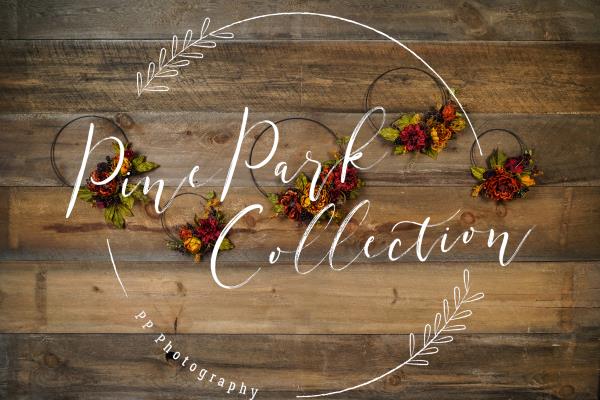 Kate Herbst Blumenrahmen und Kürbisse Hintergrund Halloween Entworfen von Arica Kirby - Kate Backdrop.de