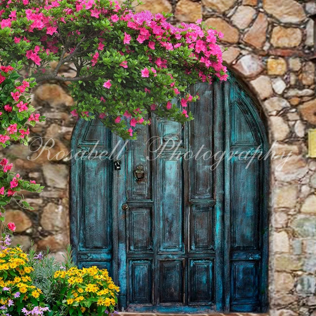 Kate Frühlingstor-Hintergrund Tür Entworfen von Rosabell Photography - Kate Backdrop.de