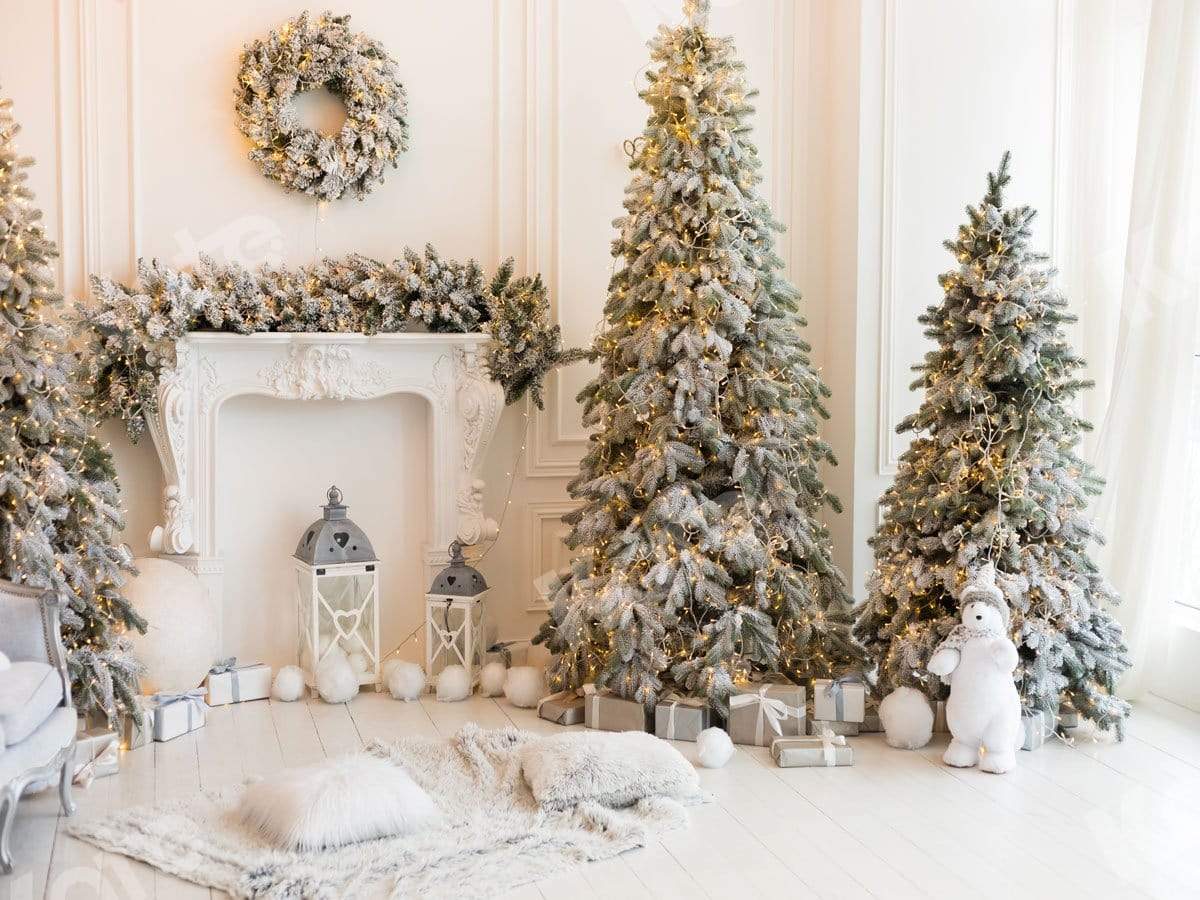 Kate Weihnachtsbär Hintergrund für Fotografie Weihnachten