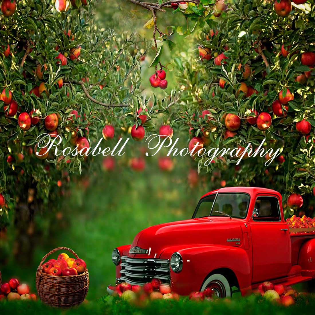 Kate Frühling Apfel Obstgarten roten LKW Hintergrund von Rosabell Fotografie - Kate Backdrop.de