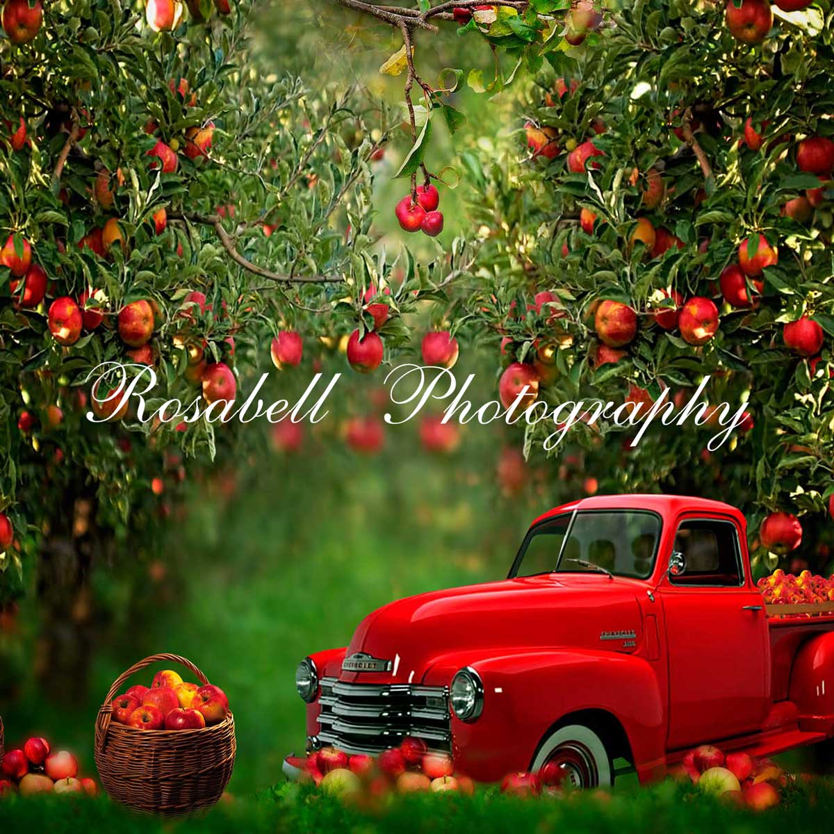 Kate Frühling Apfel Obstgarten roten LKW Hintergrund von Rosabell Fotografie - Kate Backdrop.de