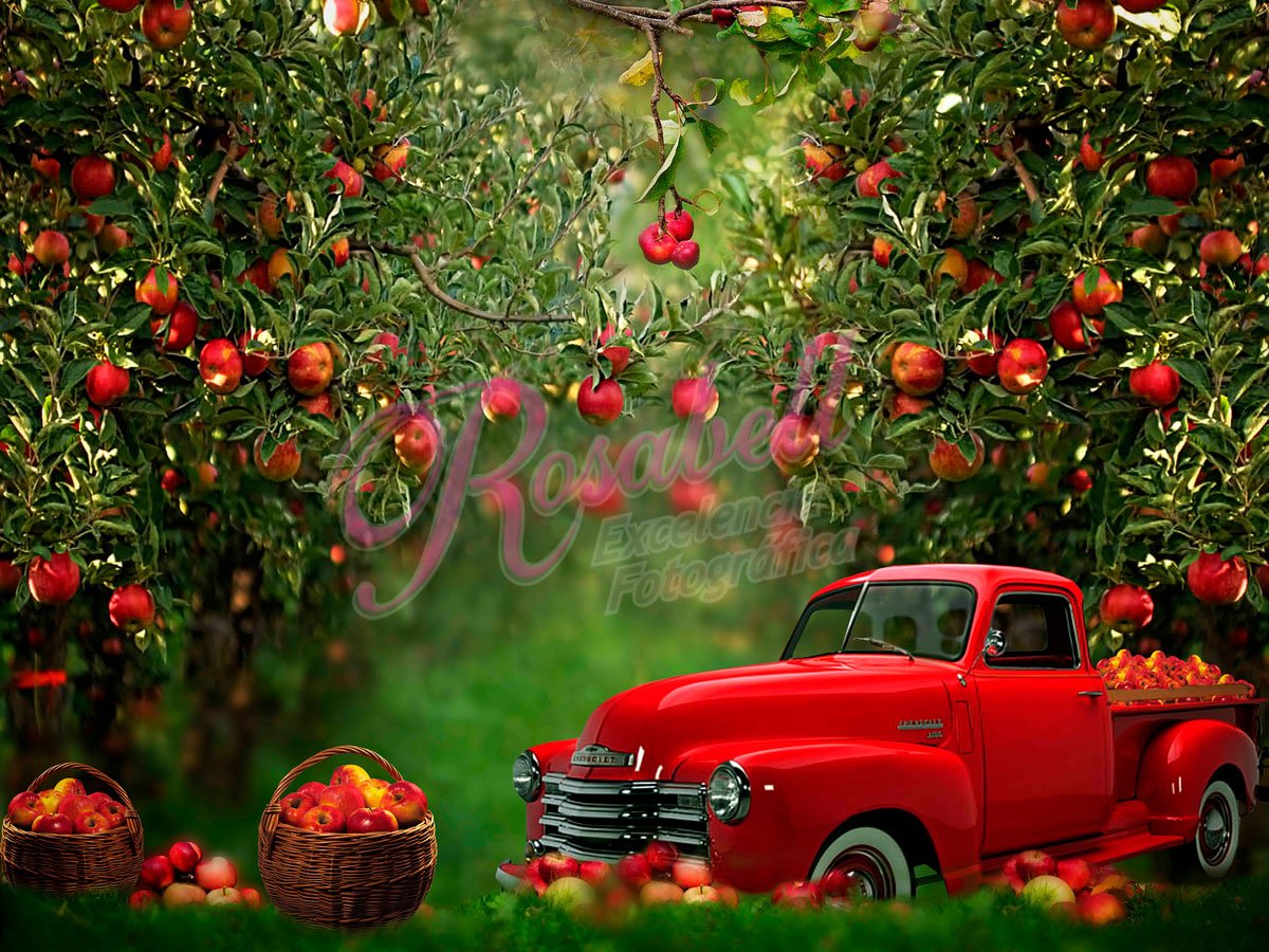 Kate Frühling Apfel Obstgarten roten LKW Hintergrund von Rosabell Fotografie - Kate Backdrop.de