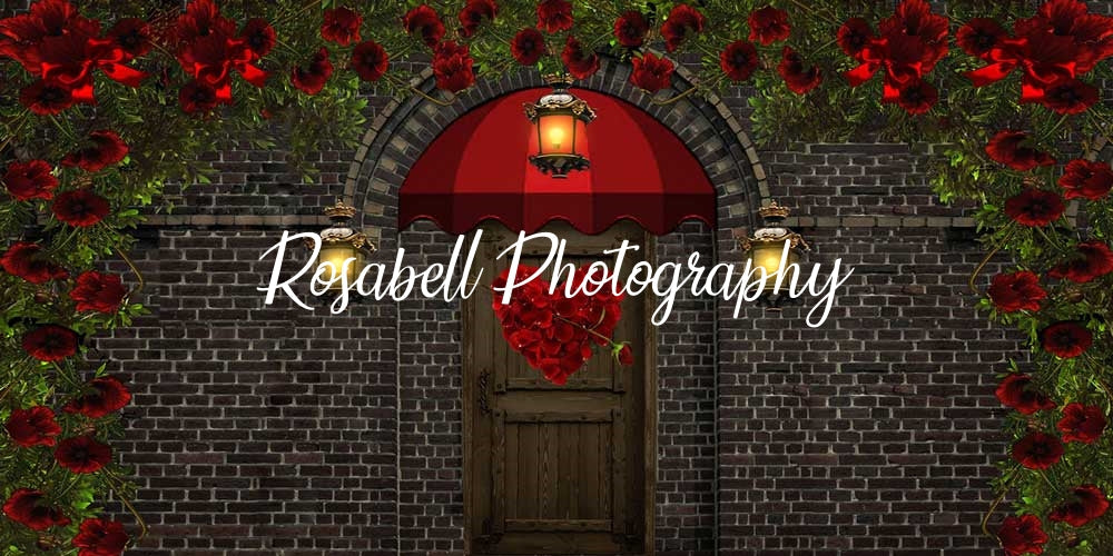 Kate Valentinstag Tür Blumen Hintergrund von Rosabell Photography - Kate Backdrop.de