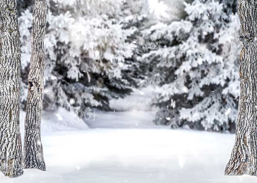 Kate Winter Weihnachten Wald Schnee Hintergrund von Arica Kirby - Kate Backdrop.de
