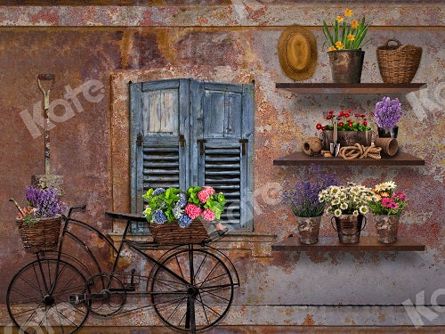 Kate Frühling Fenster Blumen Urlaub Fotografie Hintergrund - Kate Backdrop.de