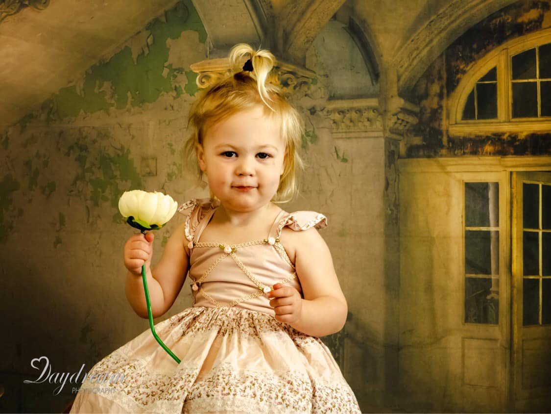 Kate Schloss Hintergrund Gebäude Sonnenschein Fenster Tür Hintergrund für Hochzeit - Kate Backdrop.de