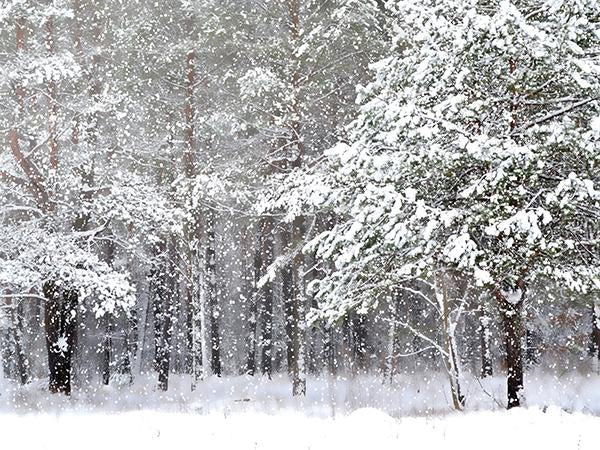 Katebackdrop:Kate Winter Outdoor White Snow Photo Background