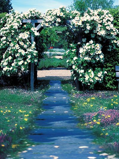 Katebackdrop:Kate Scenery Flower Door Wedding Outdoor Backdros For Pictures