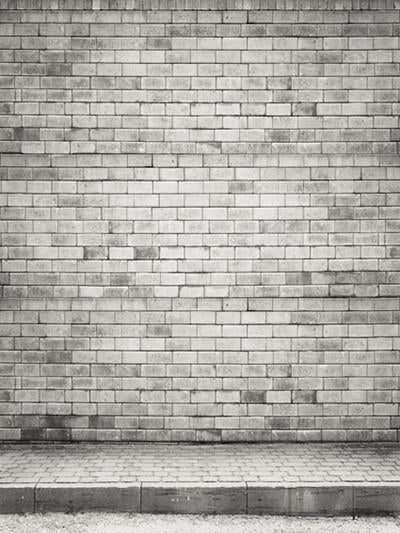 Katebackdrop:Kate Light Grey With Brick Wall Photo Backdrop