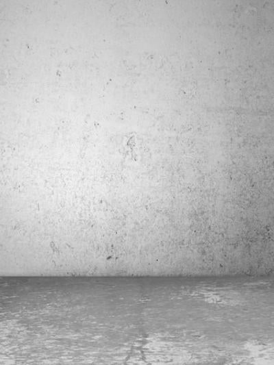 Katebackdrop:Kate White Brick Textured Photo Backgdrops For Photographers