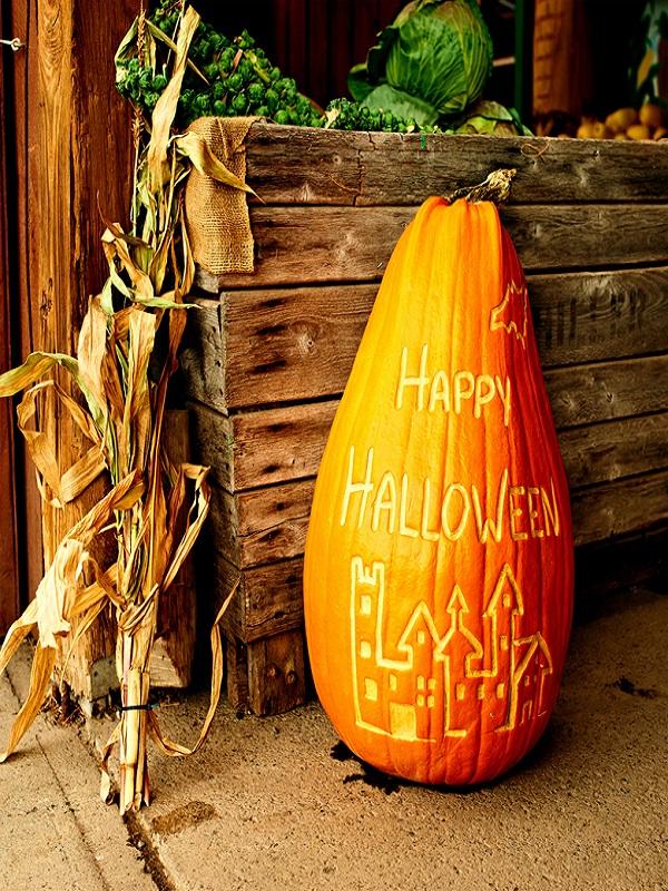 Katebackdrop:Kate Pumpkin Halloween Background Backdrop for Children