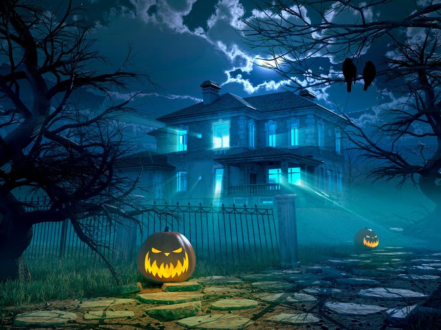 Katebackdrop:Kate Halloween Backdrop Photography Pumpkin Night Background