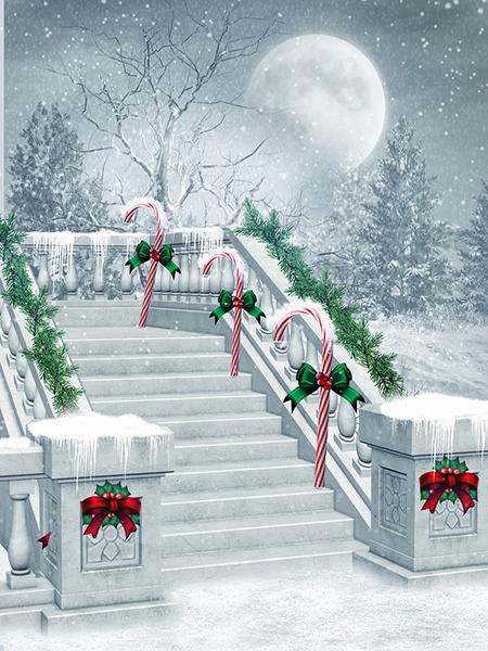 Katebackdrop:Kate Christmas Winter Scene Moon Snowflake Background