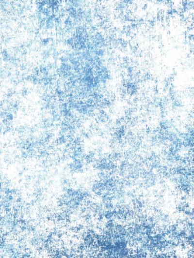 Printed Old Masters Light Blue muslin photo studio Backdrop J02959