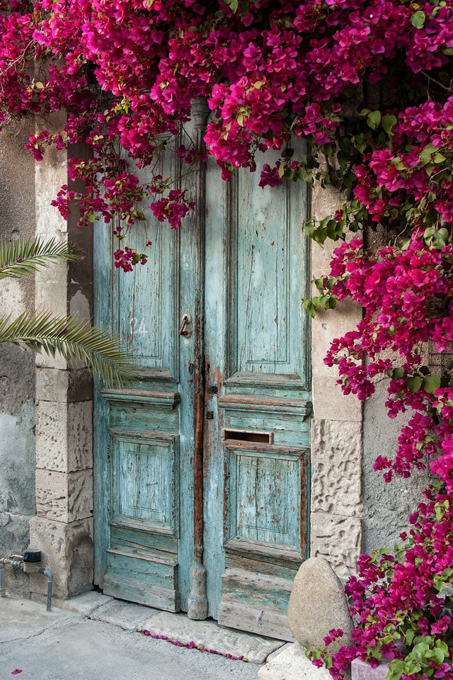 Kate Blaue Tür rote Blumen Hochzeit Frühling Hintergrund Wand - Kate Backdrop.de