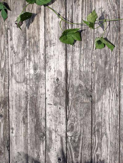 Katebackdrop:Kate Gray Wood Wall With Leaf Photography Backdrop