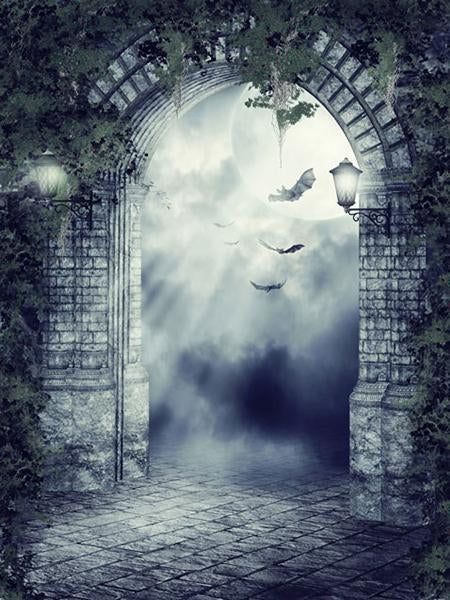 Katebackdrop:Kate Night Scenic Backdrop Bat Moon Arch Photo Background