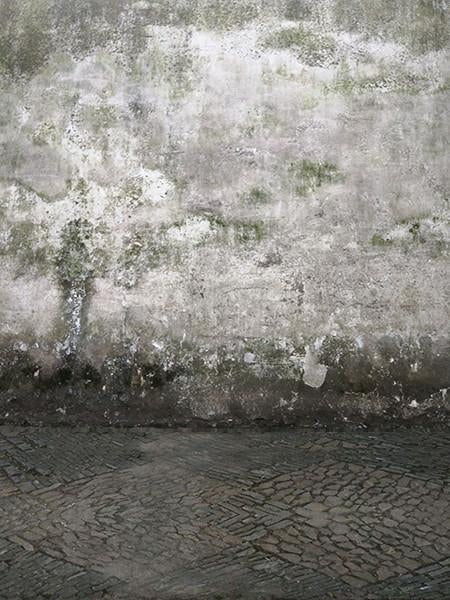 Katebackdrop:Kate Portrait Photography Backdrop Retro Brick Wall And Floor